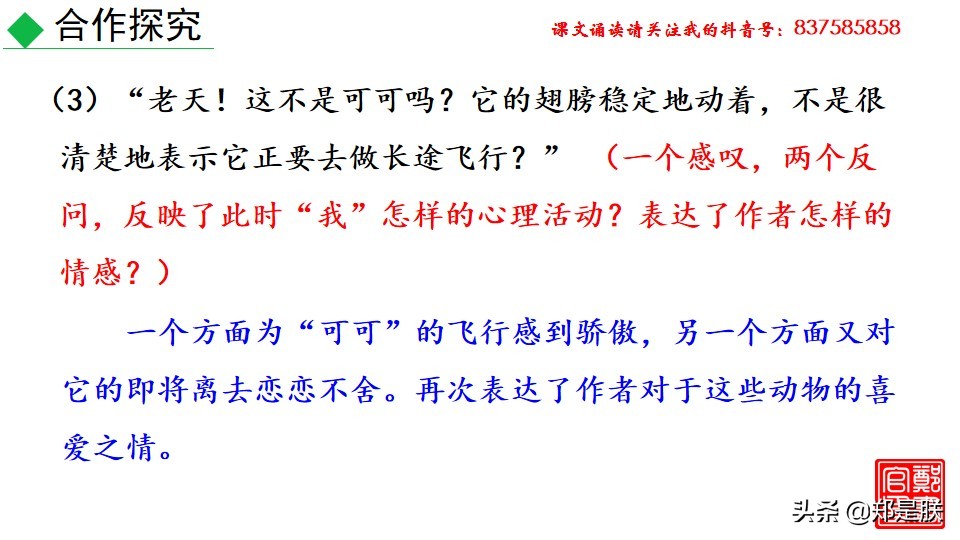 七上人教版第十七课动物笑谈课件,七上语文动物笑谈