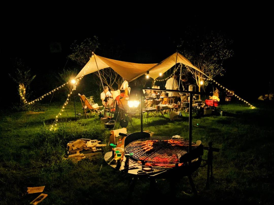 人类森林露营,人类高质量游览