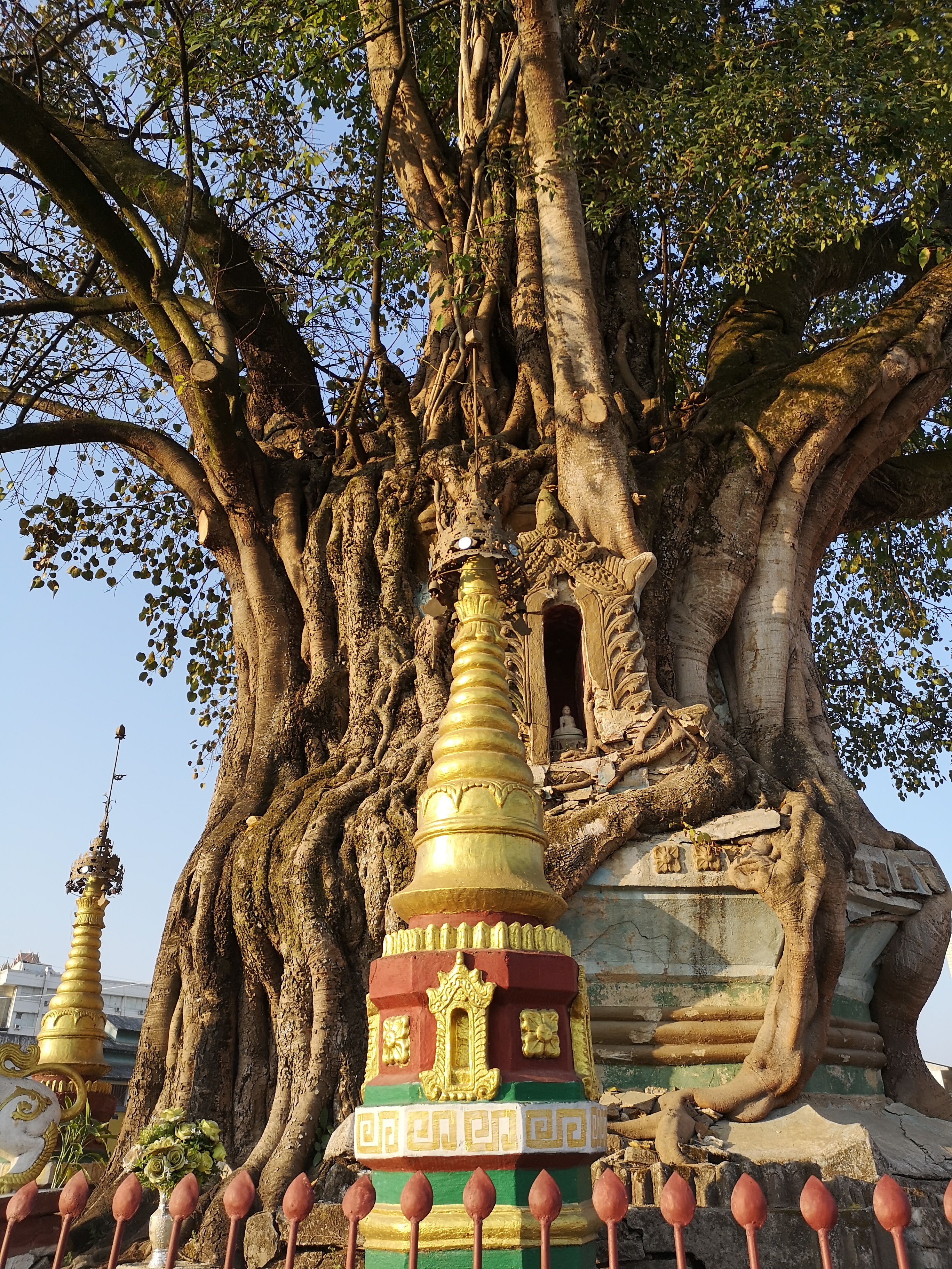 上海出发云南自驾游详细攻略,安徽出发自驾游云南最佳路线图