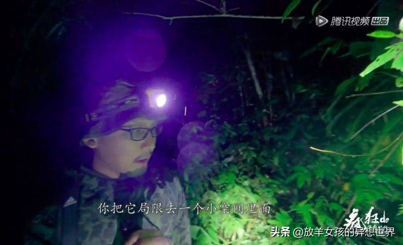 当代年轻人只有发财是认真的,当代年轻人最大的烦恼是没有钱