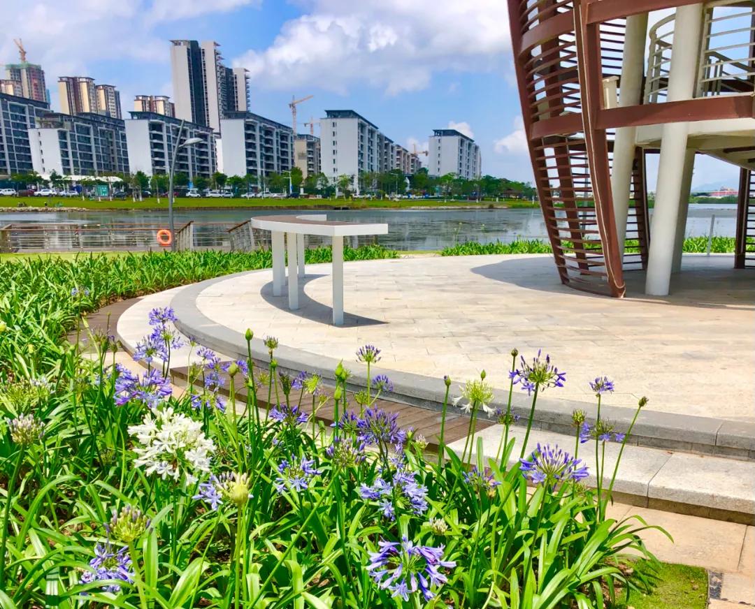 花园庭院设计花卉园艺,花园搭配的草类植物