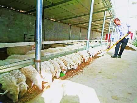 高质量打赢脱贫攻坚战,坚决打好精准脱贫攻坚这场硬仗