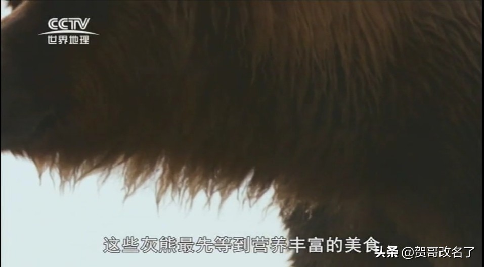 中数传媒付费频道,中数传媒部分频道