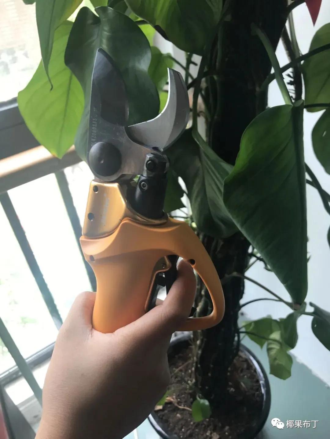 最好用的园艺剪刀排名,园艺剪刀哪个品牌最好