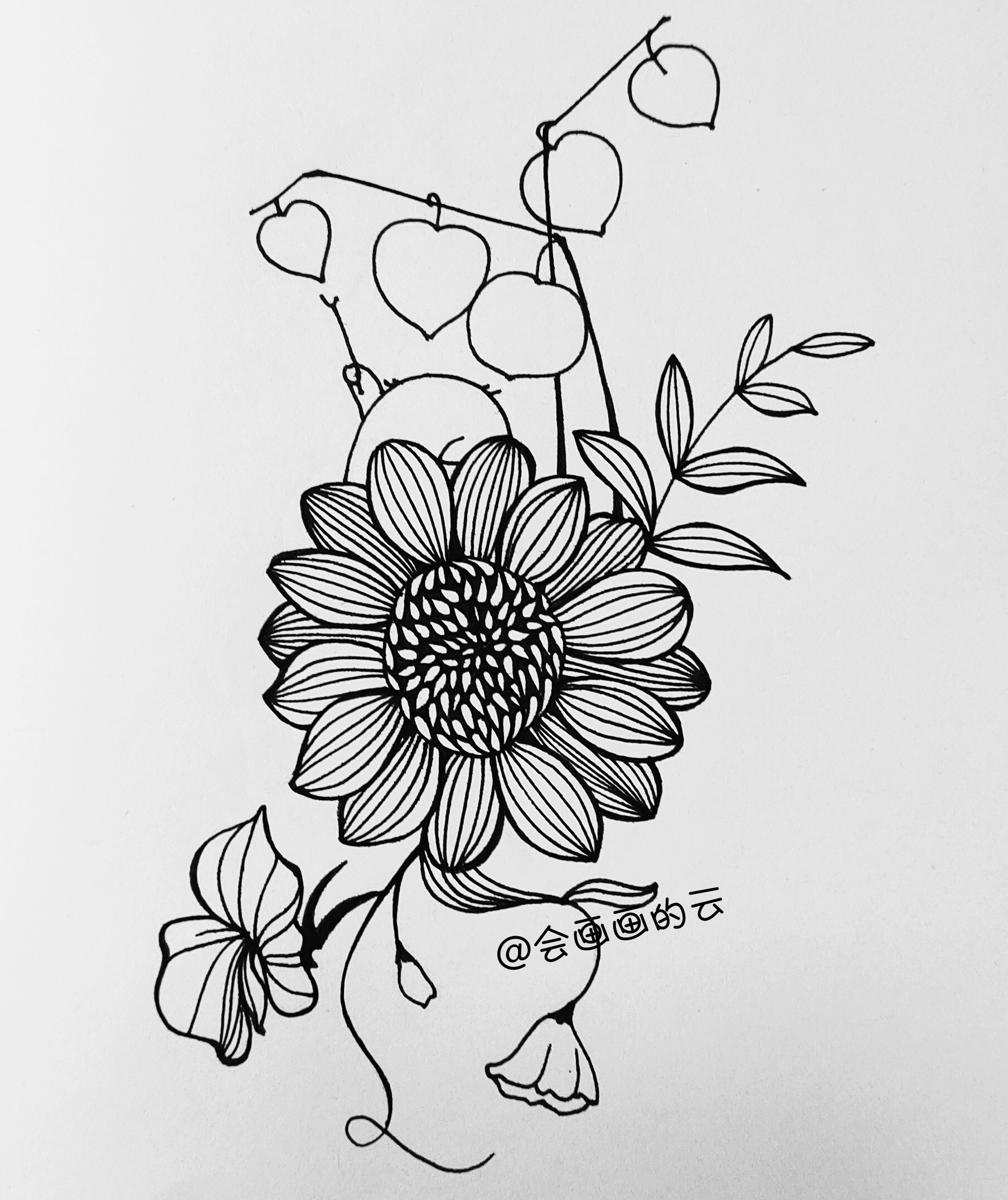 花卉线描简笔画,画花卉教程简笔画