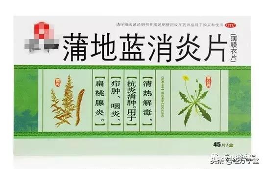 蒲地蓝科普,蒲地蓝中医辨证