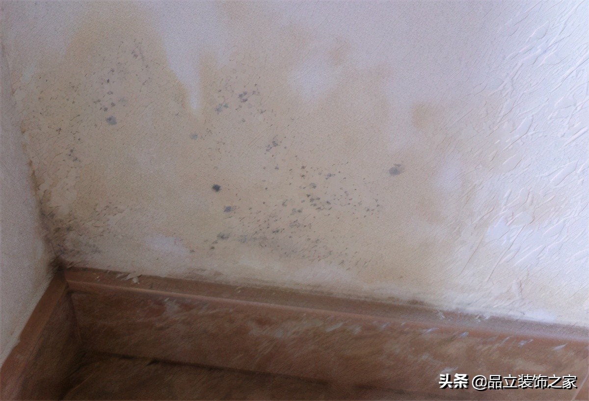 墙面发霉返潮墙面修补膏能用吗,墙面刷什么可以防止墙面返潮