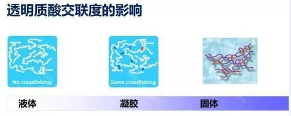 干货分享你真的了解玻尿酸吗,关于玻尿酸这些知识要知道