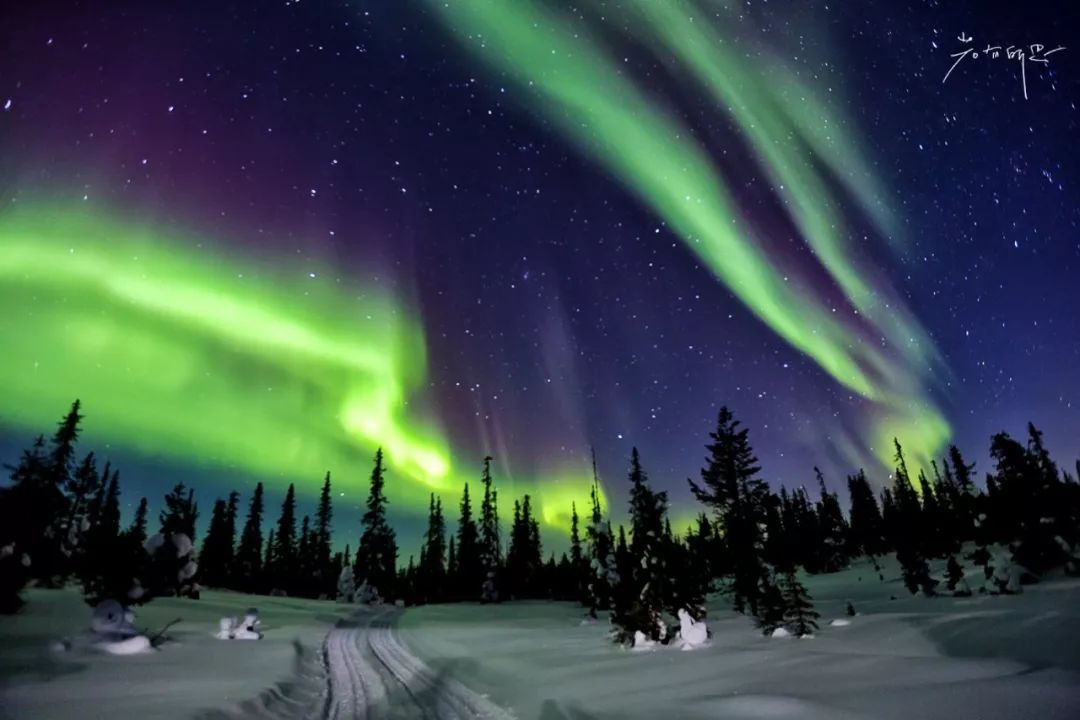 光遇欧若拉季新渴望的东西是什么,欧若拉最渴望的时候