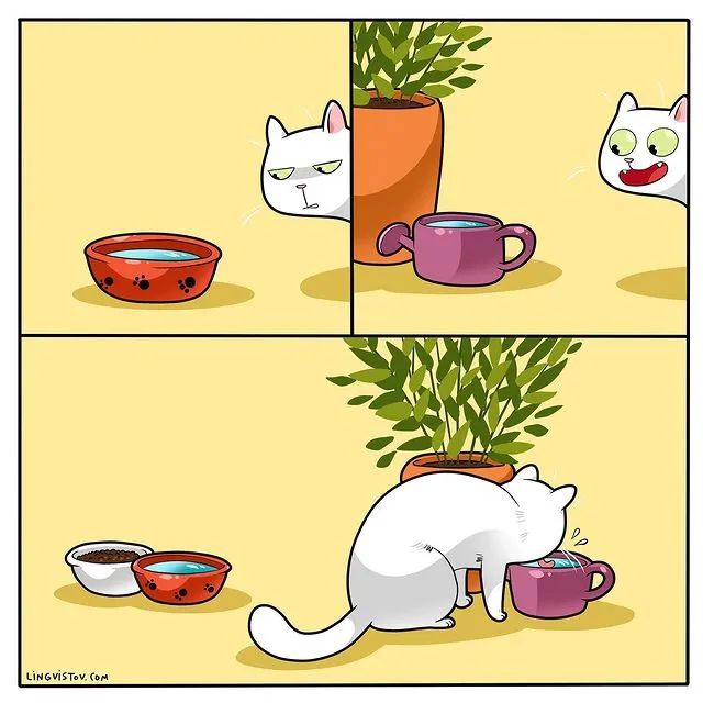 沙雕猫片，笑到床塌！自从做了卑微的铲屎官，比一个人时刺激多了