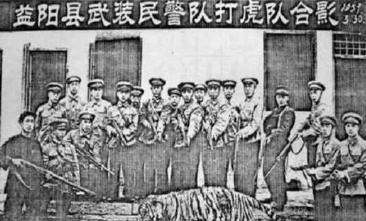 湖南老虎围攻村子事件,湖南奇人打死500多只老虎