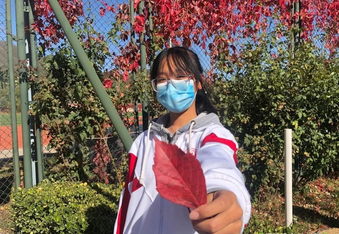 北京所有小学排名一览表,北京30所小学排名一览表