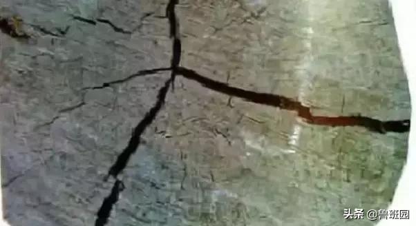 木材受潮腐烂修复,防止木材开裂的最好方法