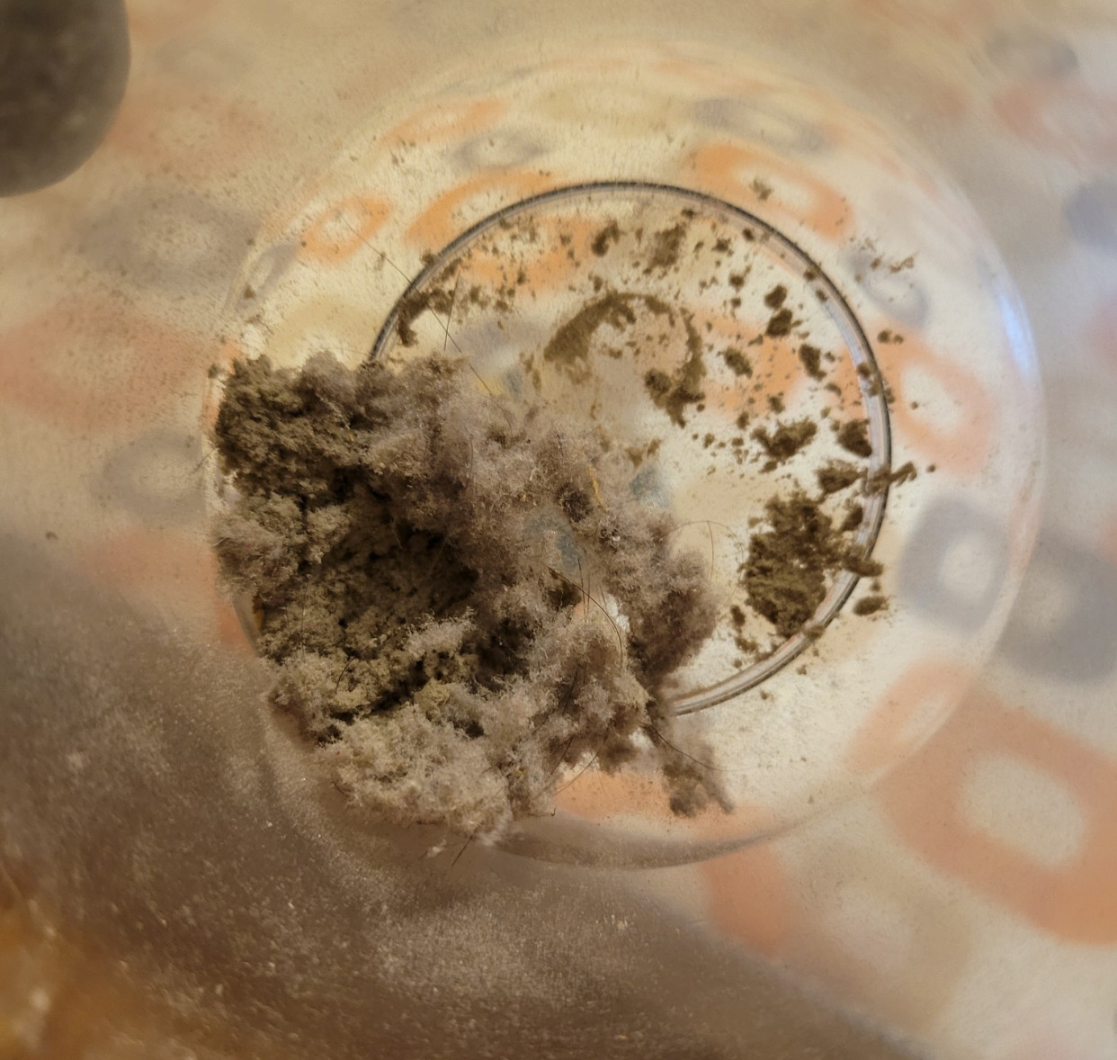 每天扫地都有许多毛毛怎么办,地面打扫小窍门