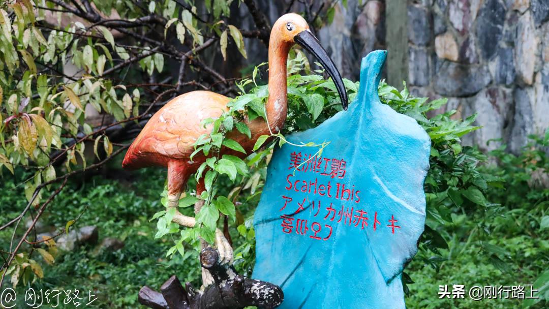 上海野生动物园可以自驾进去吗,从上海野生动物园怎样去上海南站