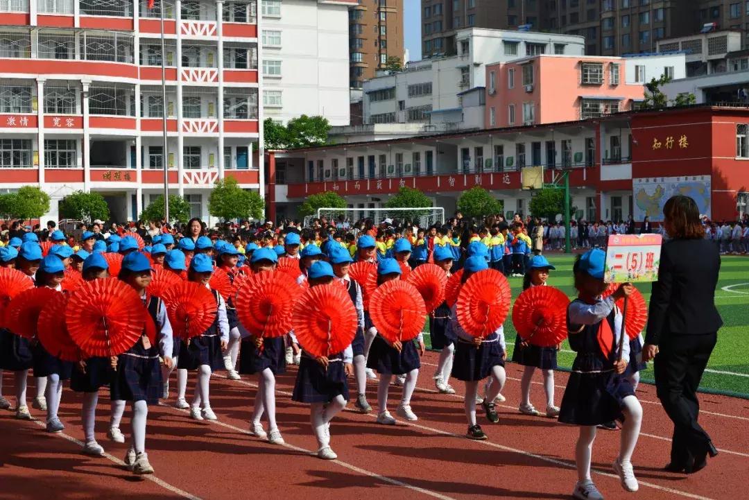 绿茵草地挥斥方遒阳光体育梦圆今朝