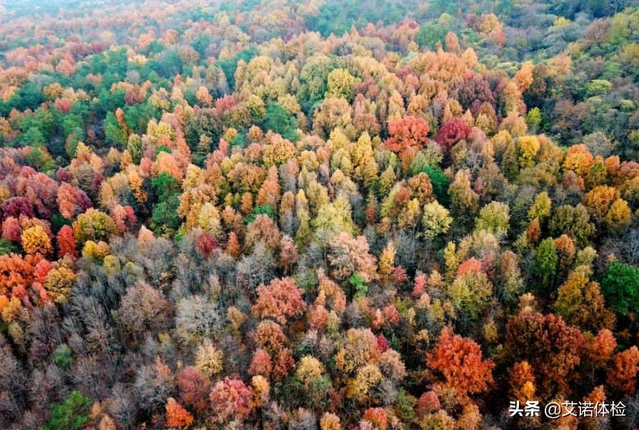 合肥景区免费景点,合肥旅游景点大全免费玩