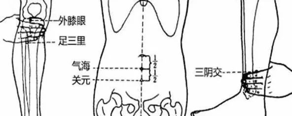 如果一直体虚怎么办,我们人身体虚吃什么补得快