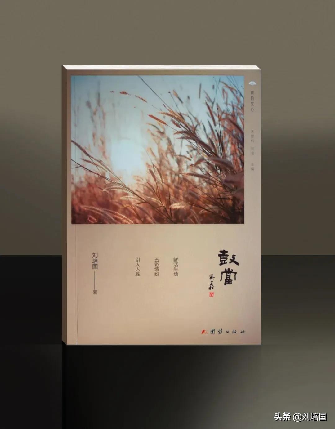 粥的奇思妙想,粥的味道光是看是尝不出来的