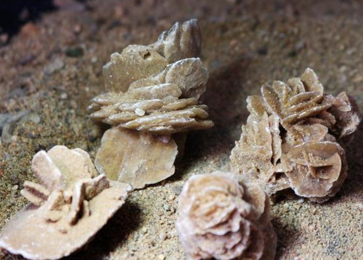 沙漠的石头为什么一定不要捡,为何在沙漠看到石头必须捡起来