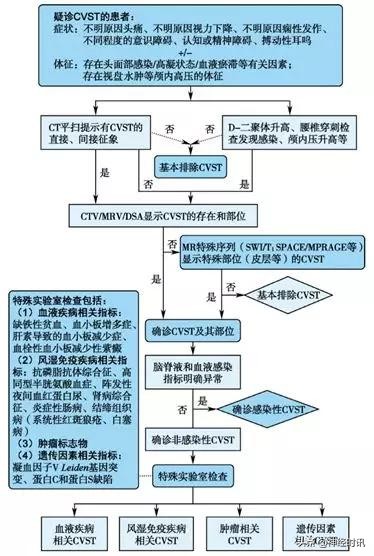 2022中国脑血管病指南,2023中国脑血管病临床管理指南