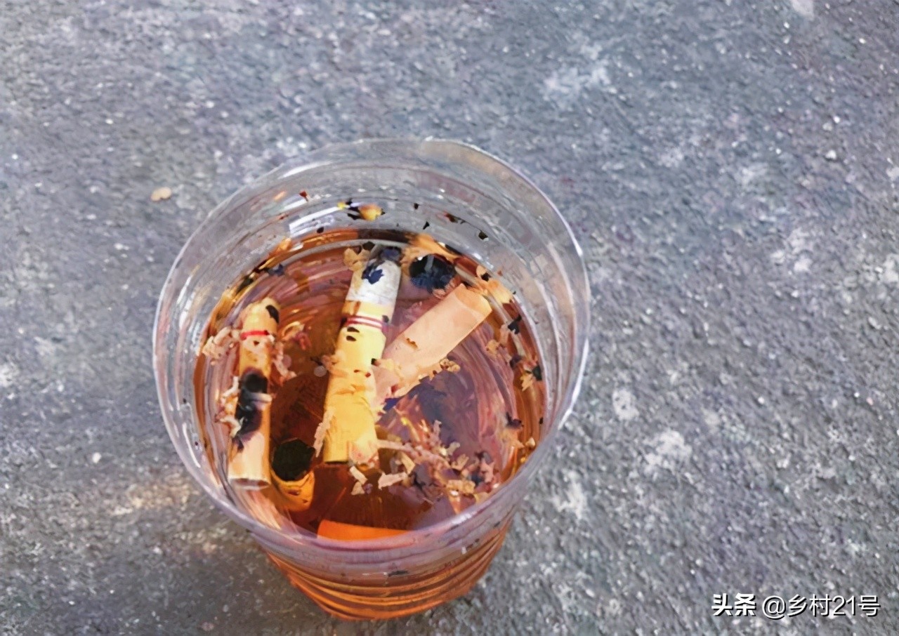 家里种蔬菜起虫怎么办,自己在家种蔬菜怎么防止虫害