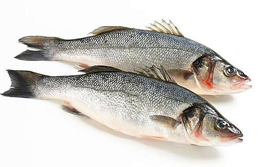 除了肉和鱼还有什么,除了肉还有哪些食物富含蛋白质