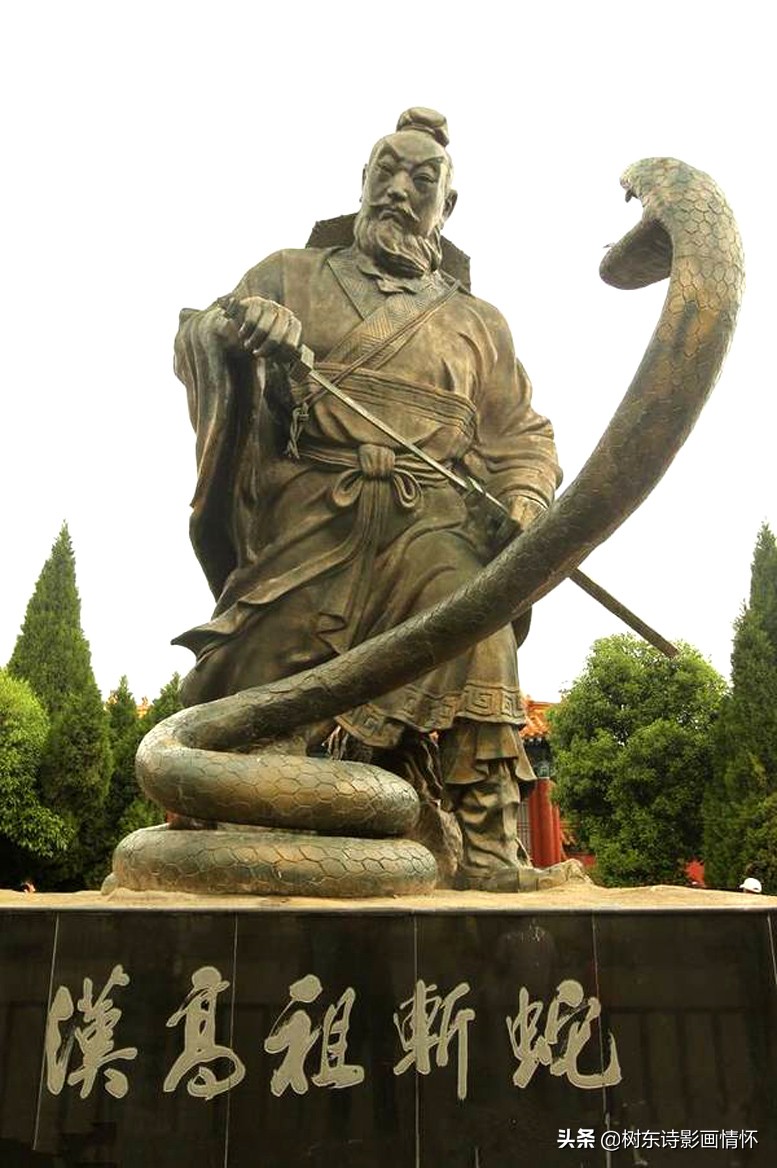 树繁体字说文解字,树字的说文解字