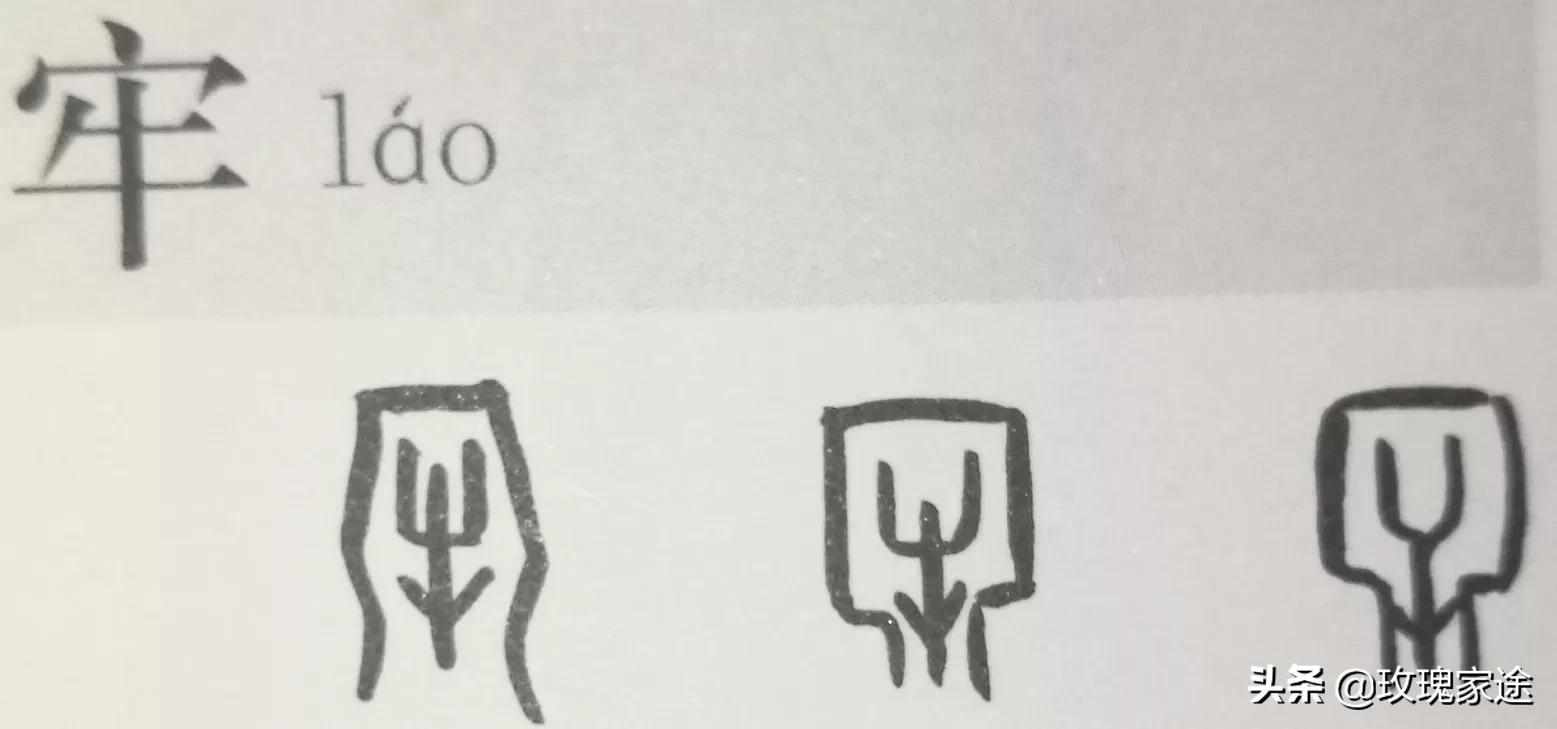 过年啦!恭喜发财~什么是财知道吗?快给孩子们讲讲吧3!