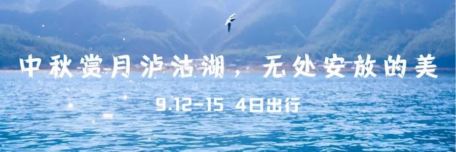 只要你面朝青海湖，八月依旧春暖花开