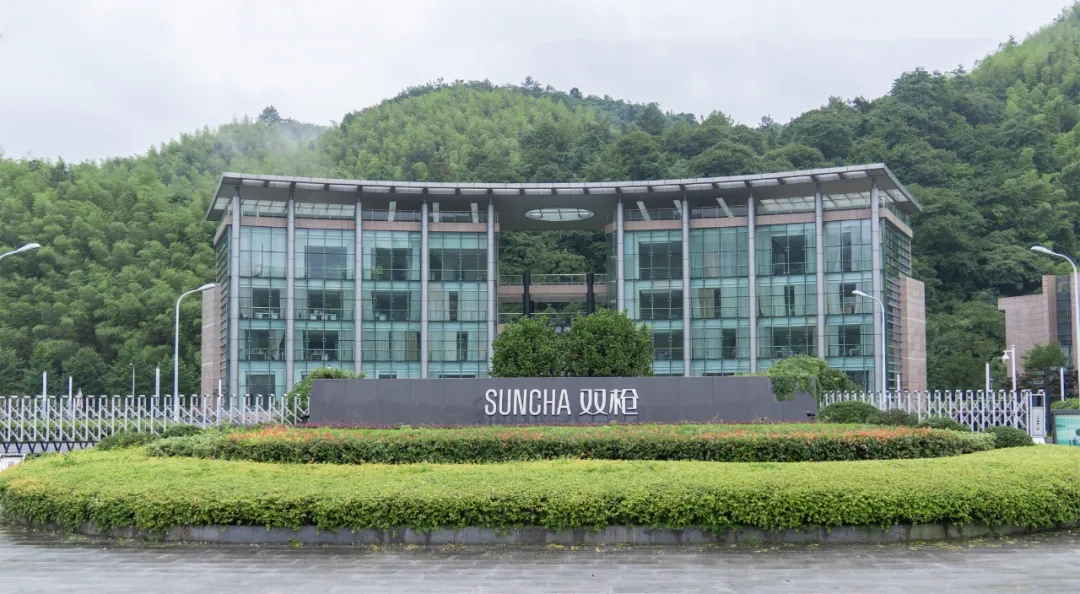 三年进账11.38亿浙江夫妻,浙江夫妇一年从欧洲进账40亿