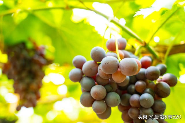 河北最默默无闻的城市,河北最低调的古城