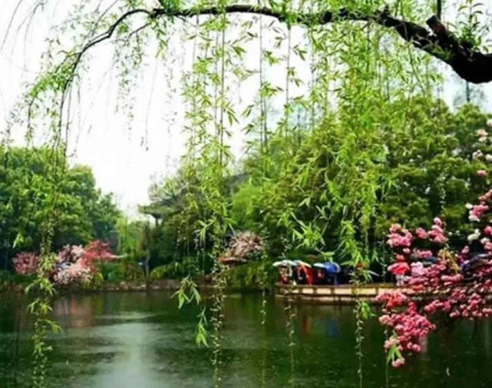 清明祭祖有哪些流程习俗,陕西民间清明祭祖习俗