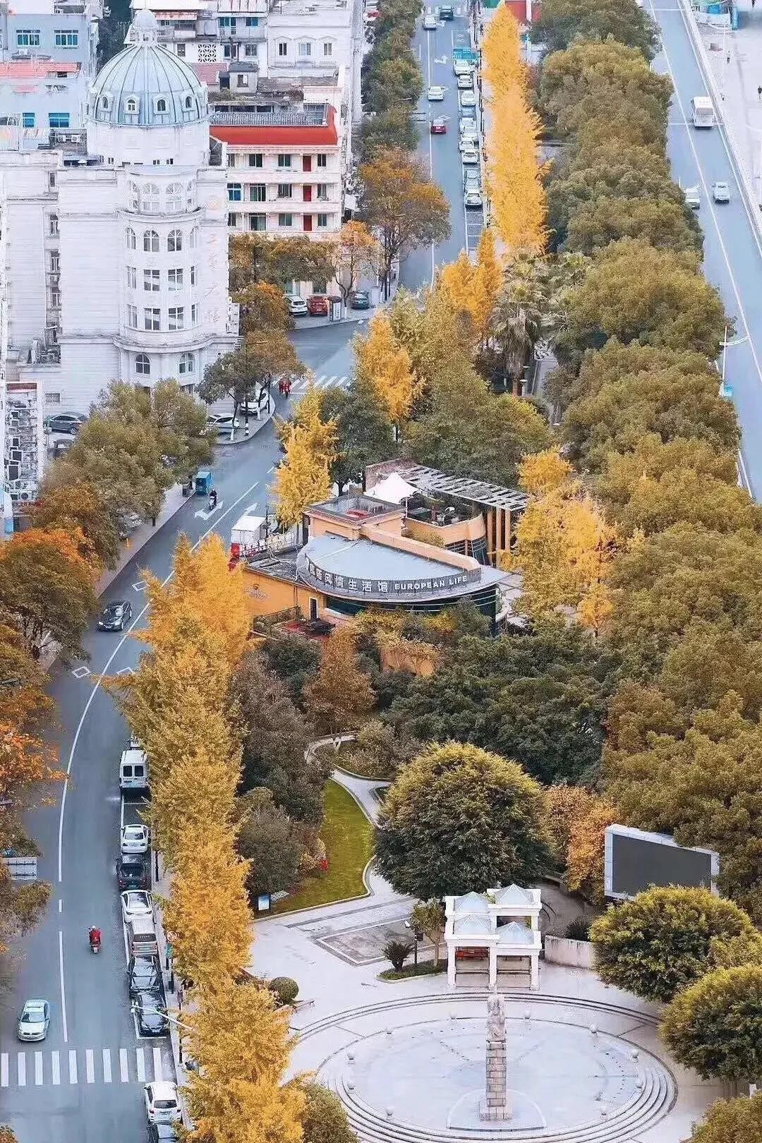 每天要喝掉两杯奶茶,每天要喝2000ml咖啡