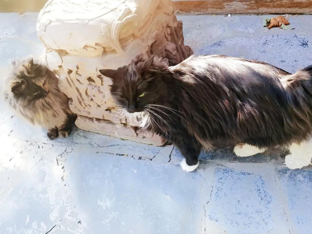 拼头条吗？好姐妹就要一起上啊