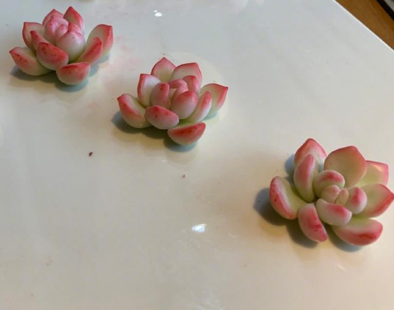 最强大脑水哥亲自做题,最强大脑水哥营养液