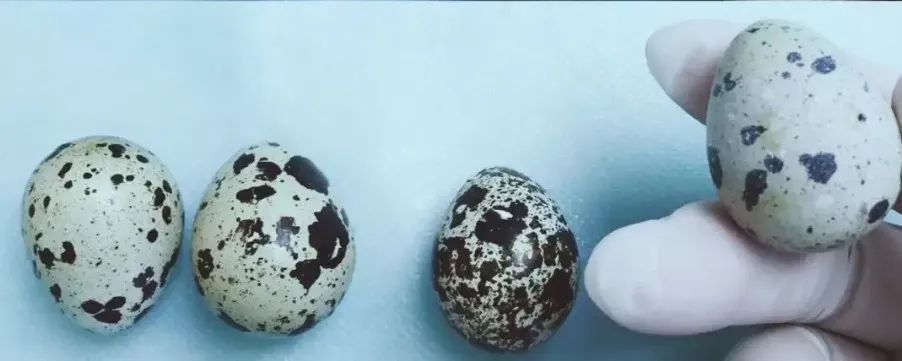 口腔牙医感言,牙医从业感悟