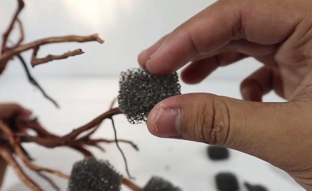 莫斯树到底好不好,莫斯树是什么