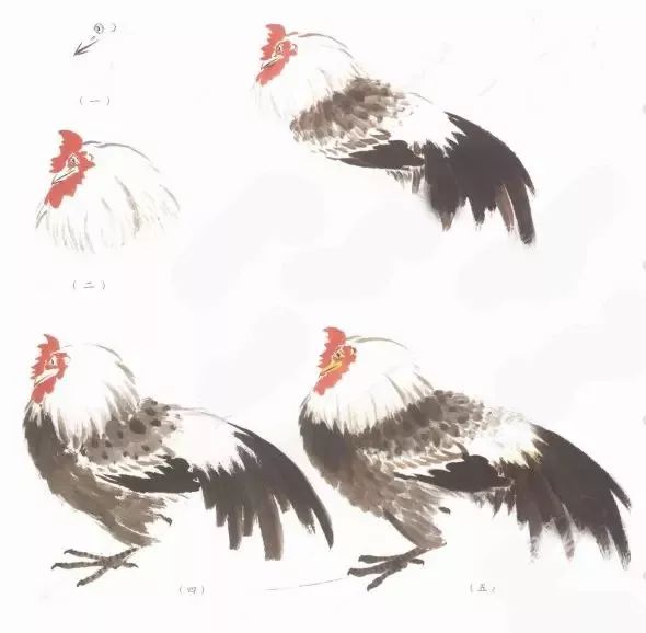 100种国画禽鸟画法,简单易学的禽鸟脚掌画法