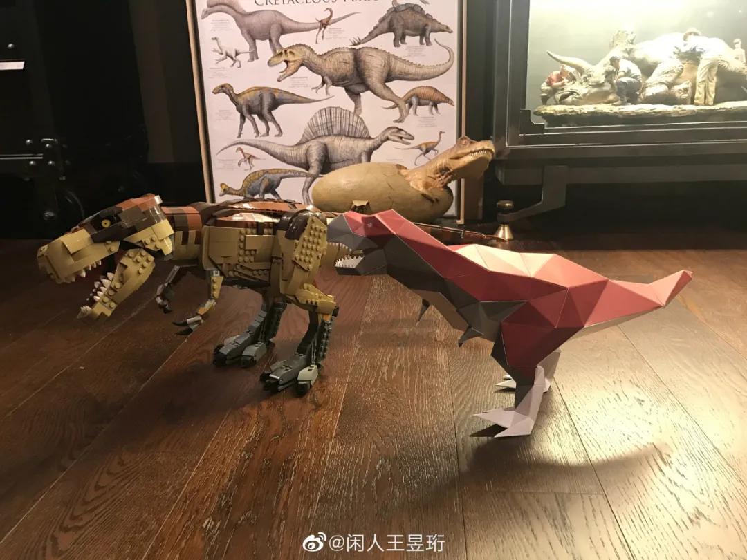 最强大脑王昱珩清华毕业后不上班,王昱珩上学经历