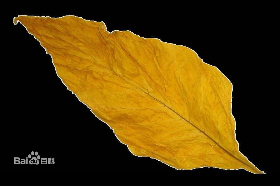 为什么我不吸烟？看看我的经历