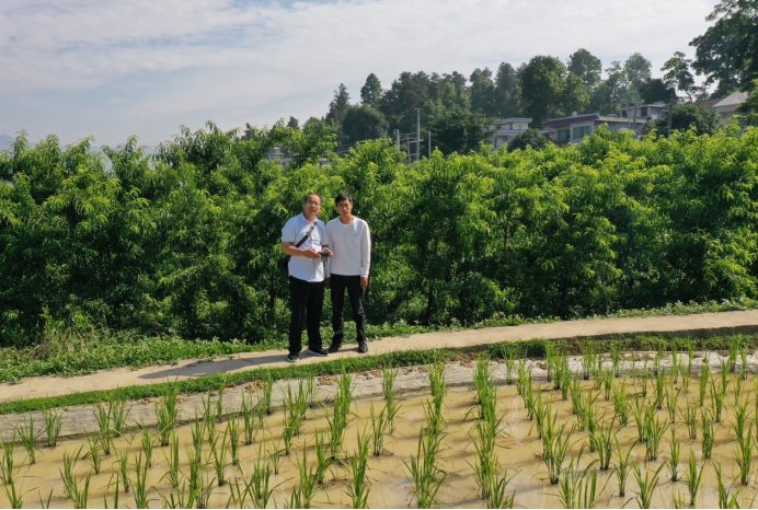投资果园需要多少钱,投资果园有什么好项目