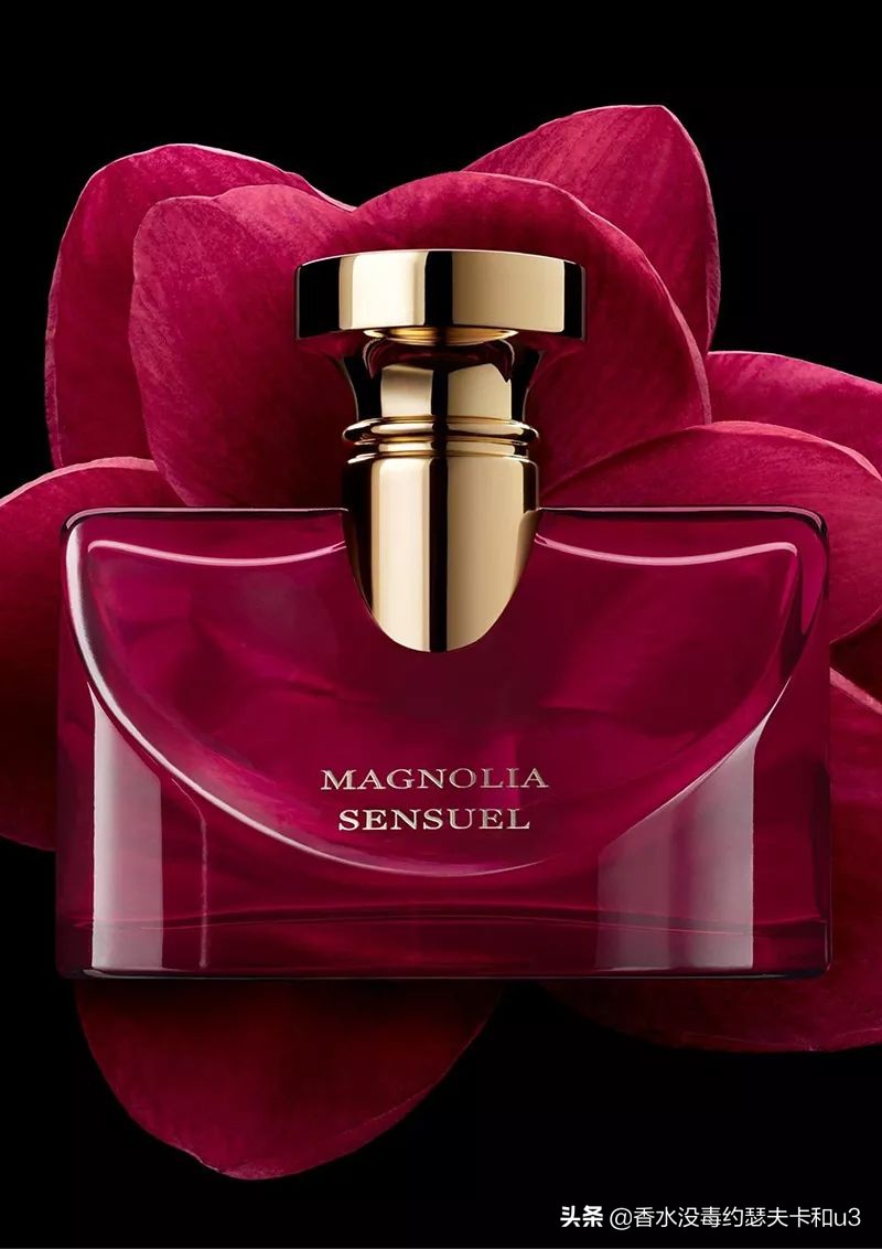 宝格丽香水：经典“三茶”后真无好香