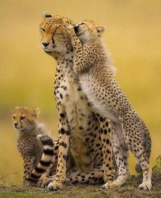 发现被别人偷拍照片,偷拍别人的照片是否违法