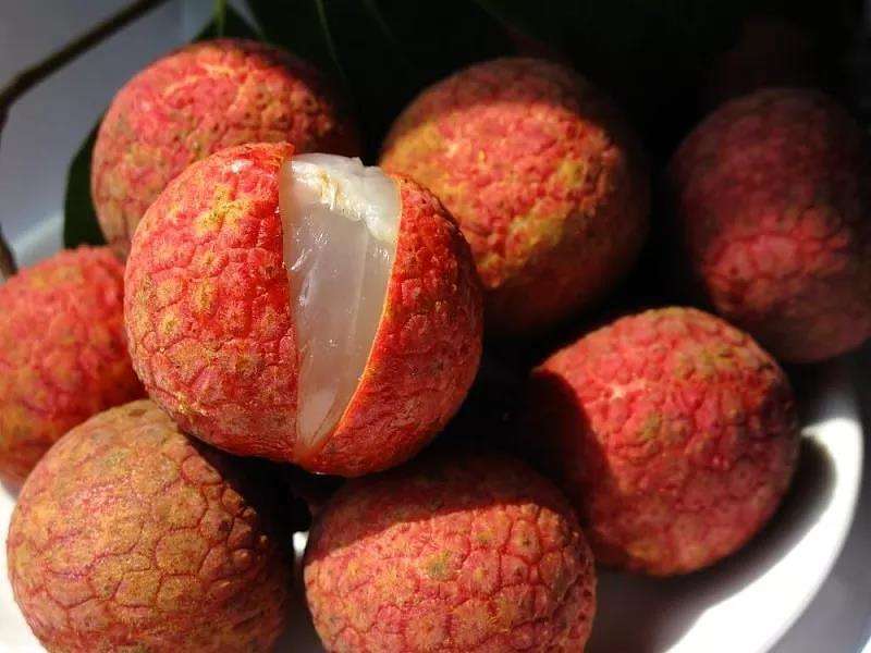 常见荔枝的区别与口感,荔枝是籽小的好还是籽大好