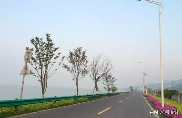 江苏旅游西山岛攻略图文,内湖洞庭西山岛