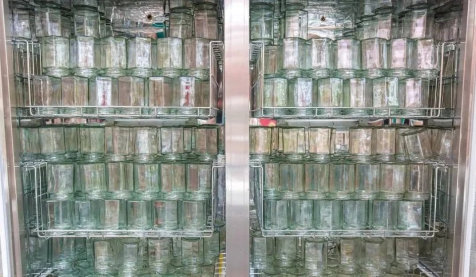 盘点广东人的夏日消暑神器,消暑必备神器凉粉