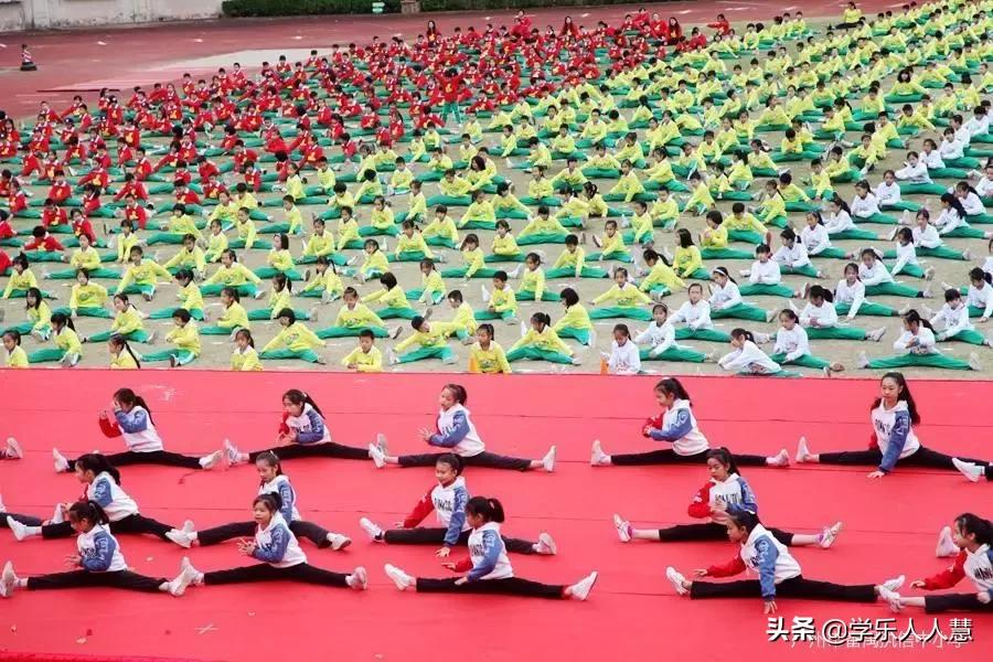 番禺执信学校排名,番禺执信中学招生热线