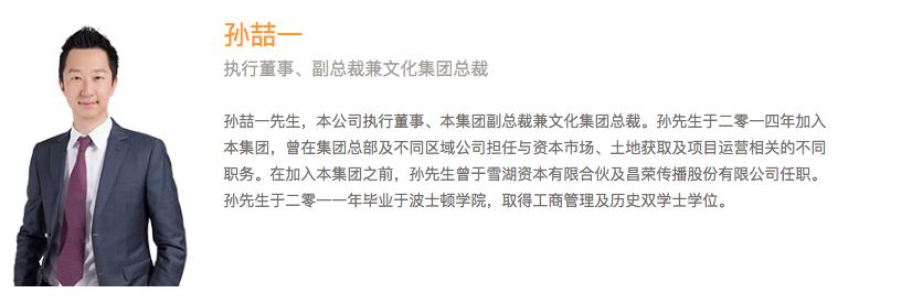 融创中国控股有限公司股权结构,融创中国的领导团队