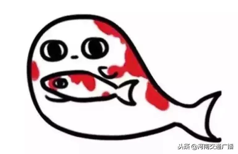 2018十大网络用语你知道几个,锦鲤2018十大网络用语